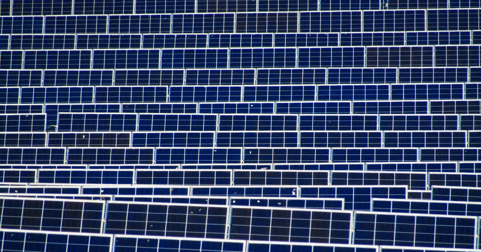 Rows of photovoltaic panels at a solar energy installation