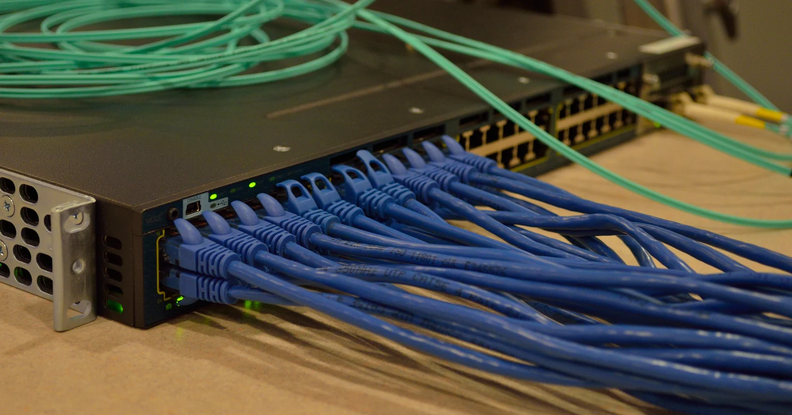 Network switch connected to multiple blue Ethernet cables